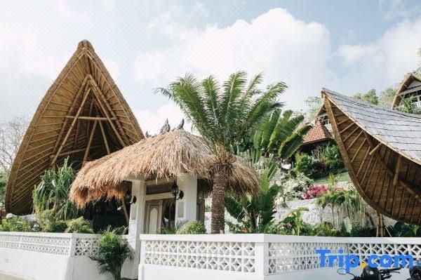 White Tortoise Eco Villa's – photo 1
