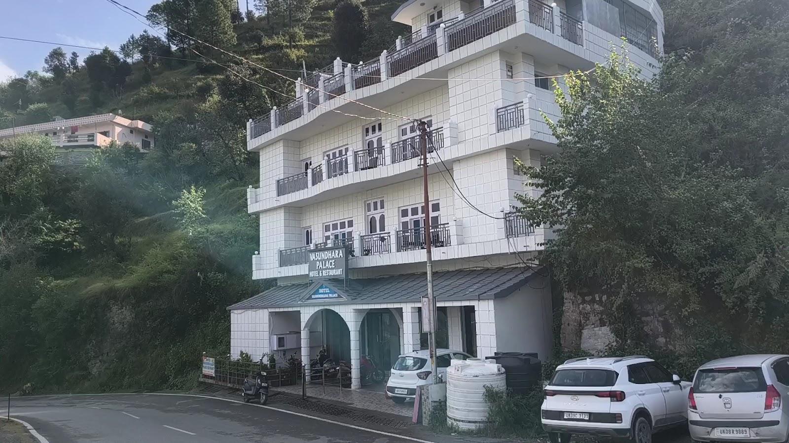 Hotel Vasundhara Palace – photo 2