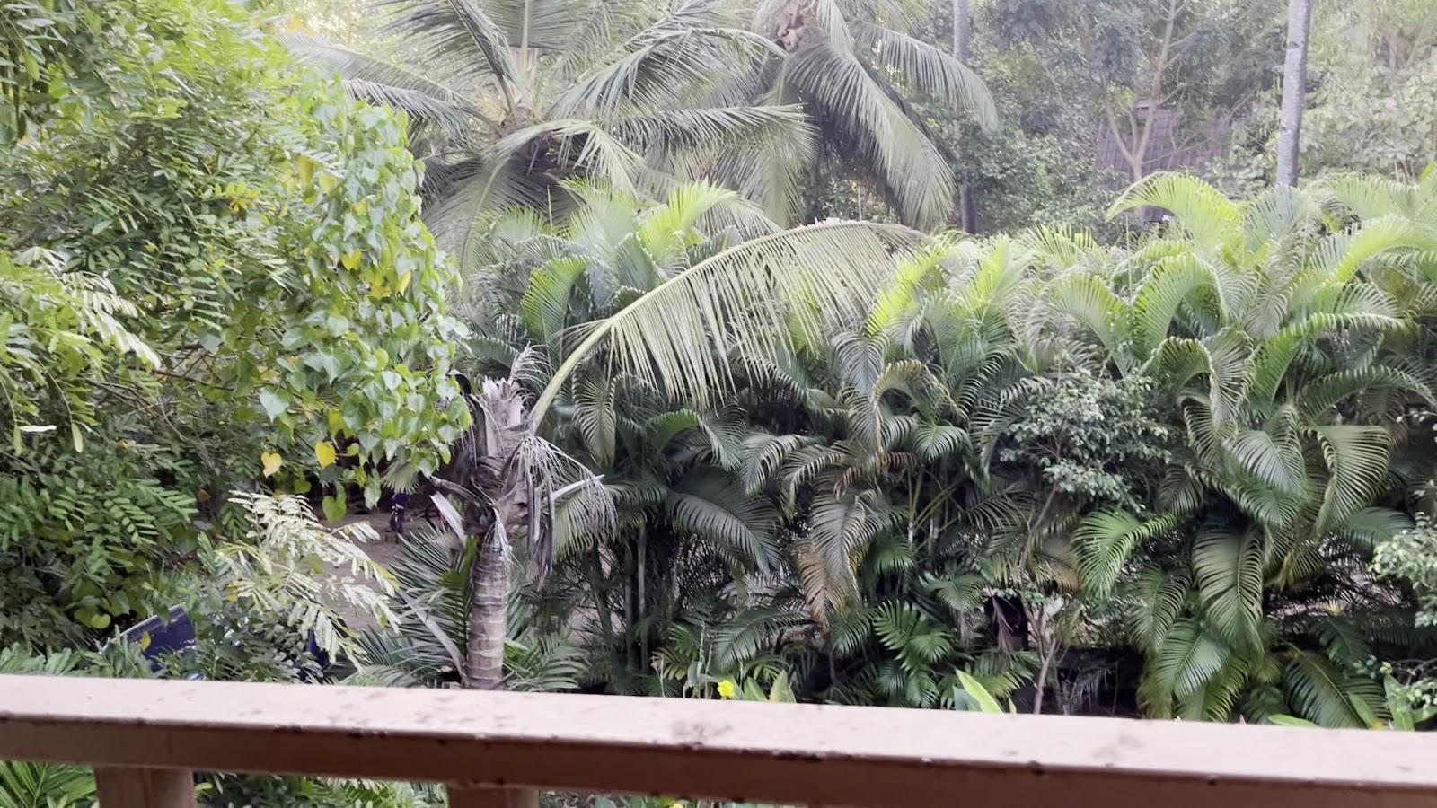 EXOTICA BY THE SEA-DIVEAGAR – photo 2