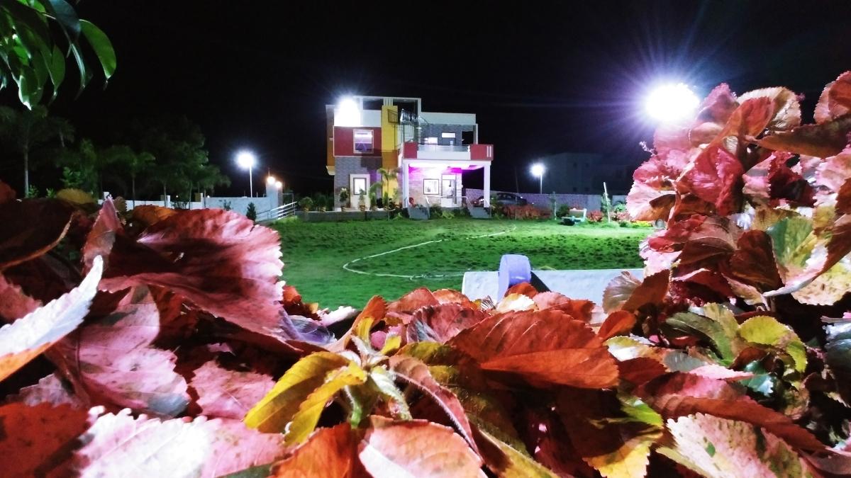 Mir's Group Garden – photo 4