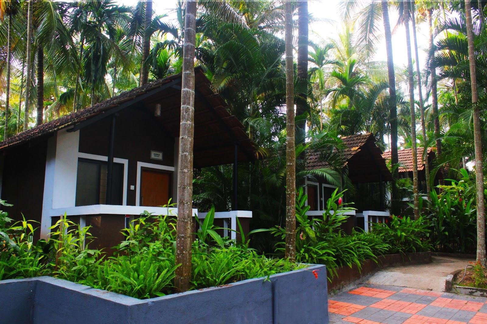 Parampara Resort & Spa, Coorg – photo 1