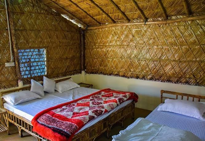 Jungle Lore Camp Resort & Retreat – photo 3