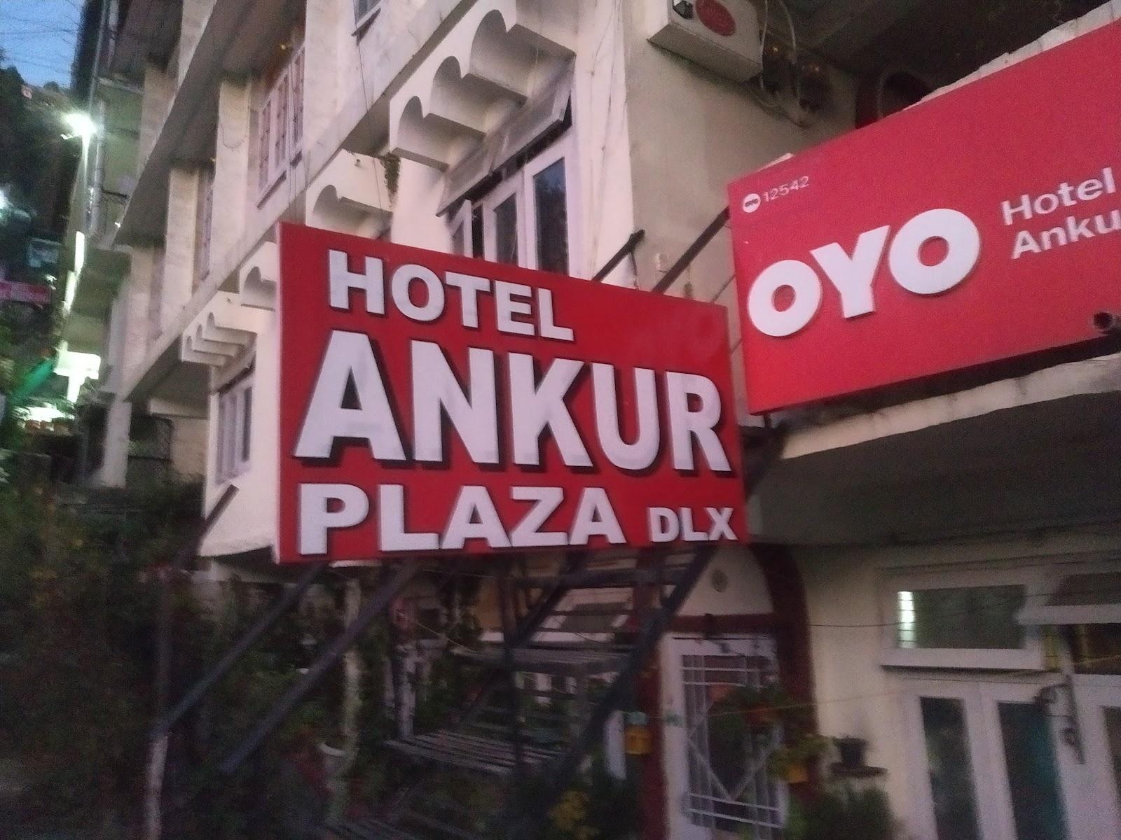 Hotel Ankur Plaza – photo 1