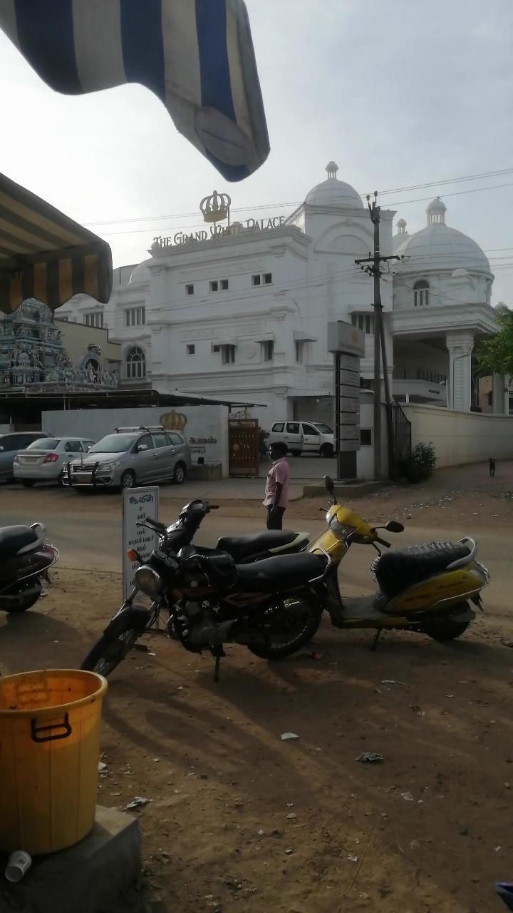 The Grand White Palace – photo 2