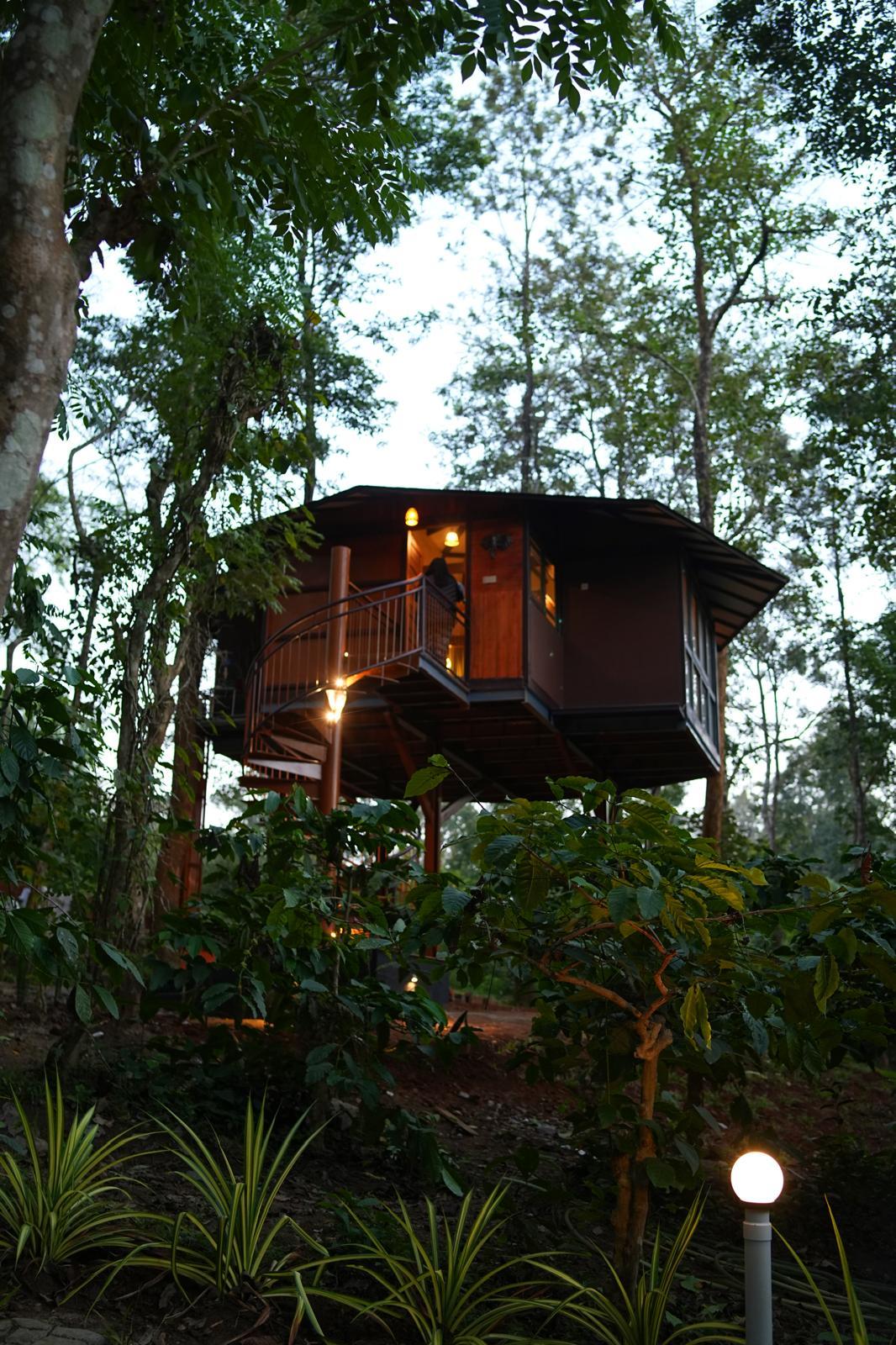 Pugmarks Jungle Resort – photo 1
