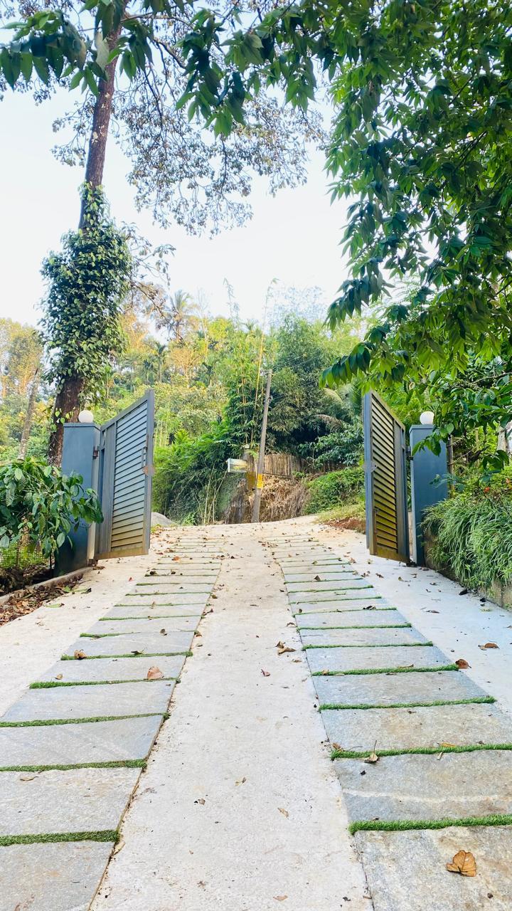The Wayanad Stays – photo 1