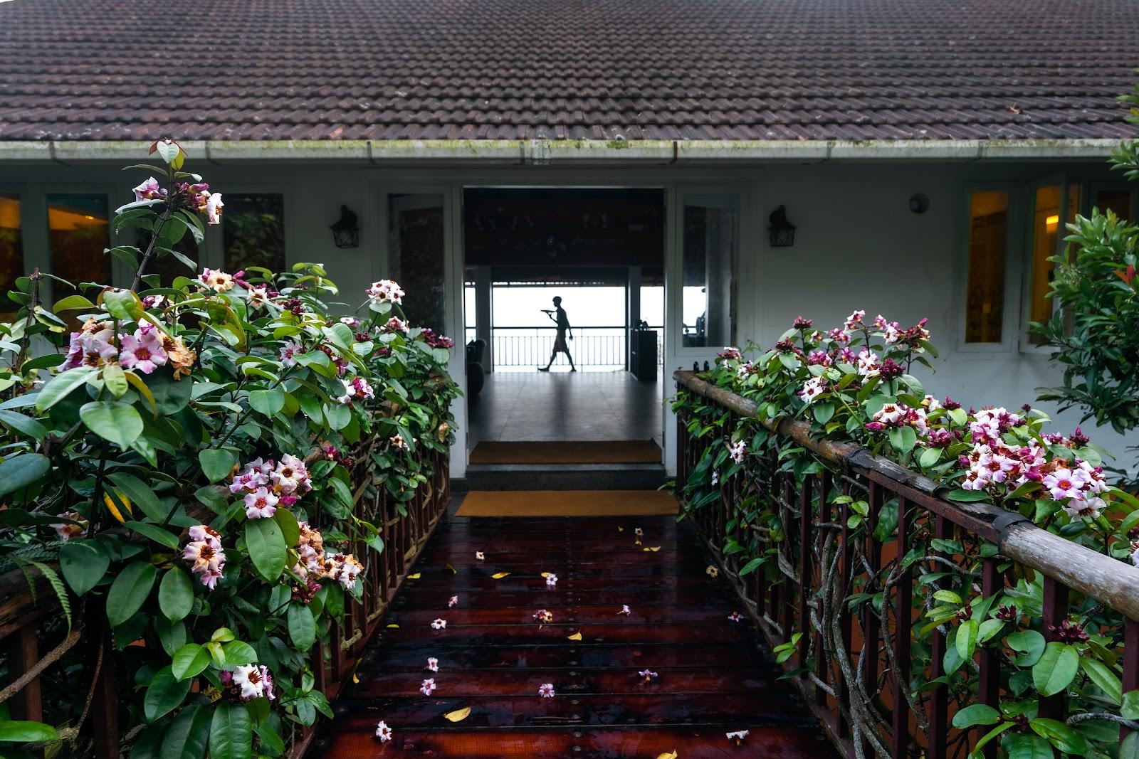 After The Rains Rainforest Lodge, Wayanad – photo 1