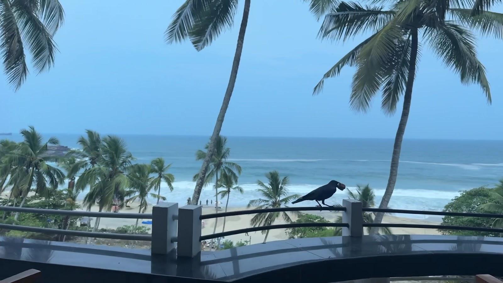 By The Bay Kovalam – photo 2
