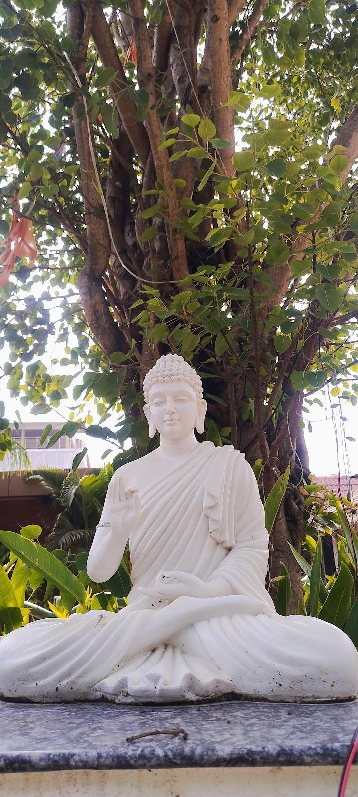 Binary Exotica Chikmagalur – photo 2