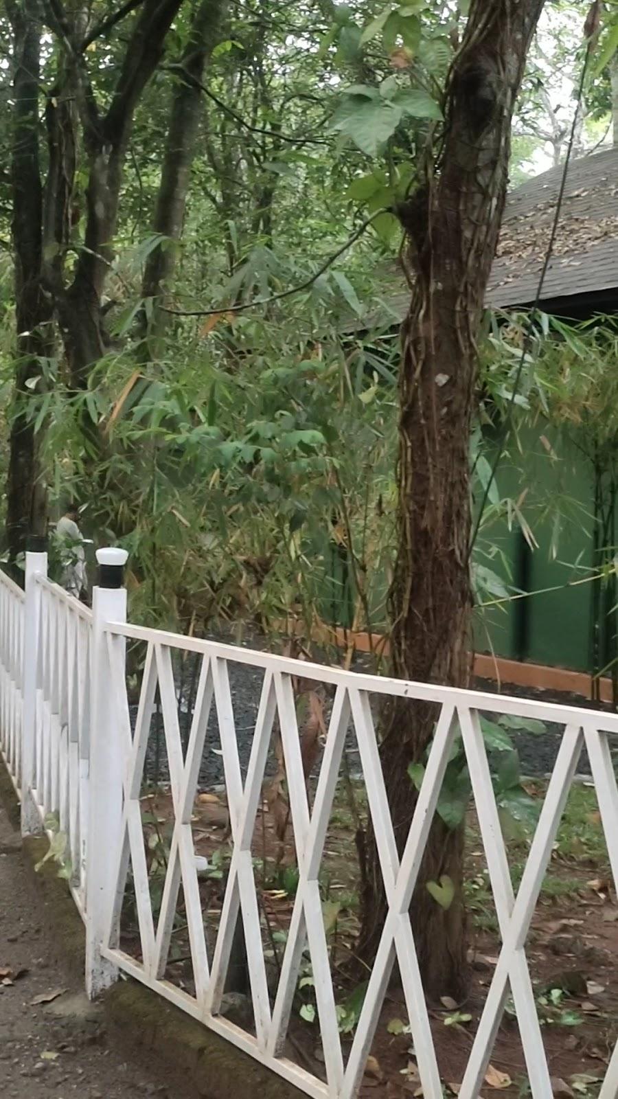 Lapista Wayanad – photo 2