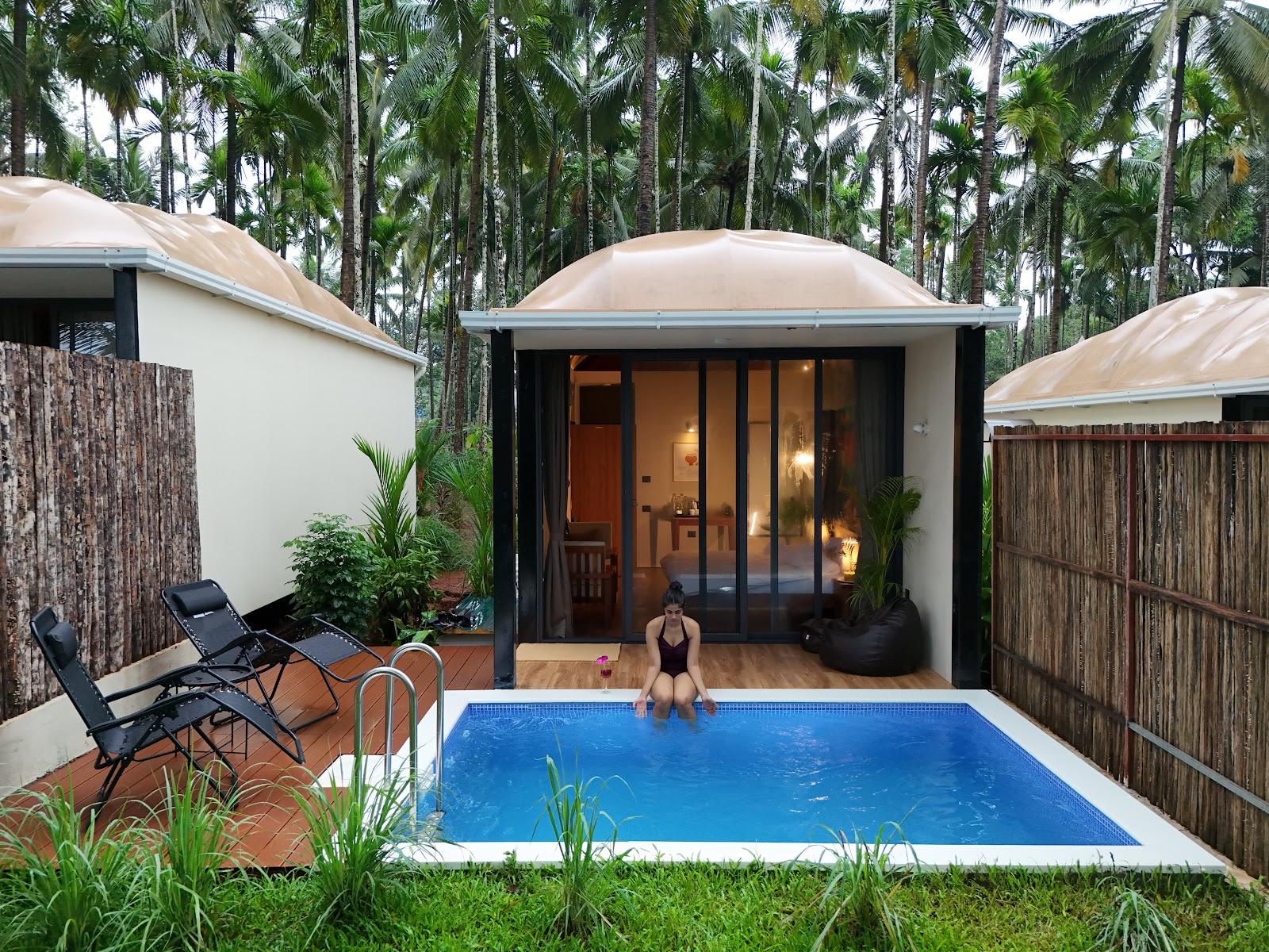 Hipnoetic Goa – photo 4