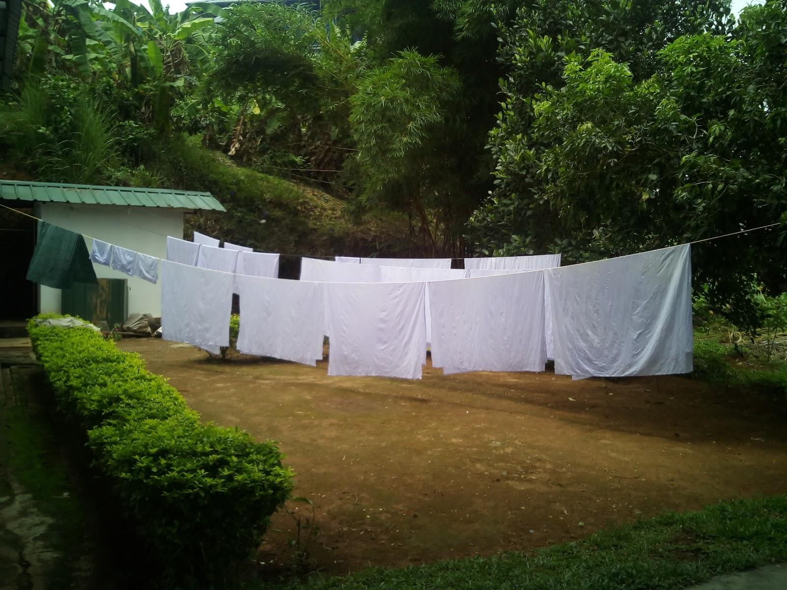 Munnar Retreat – photo 2