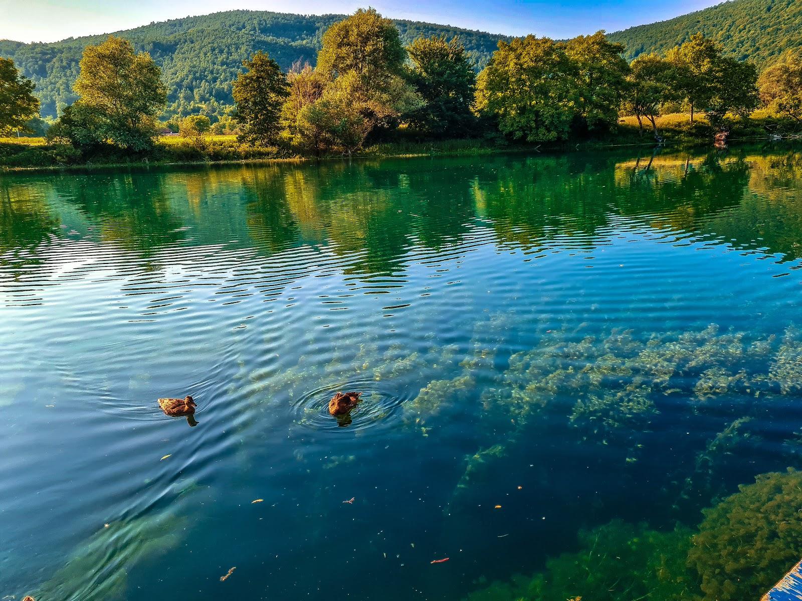 Daman Villa Bihac – photo 1