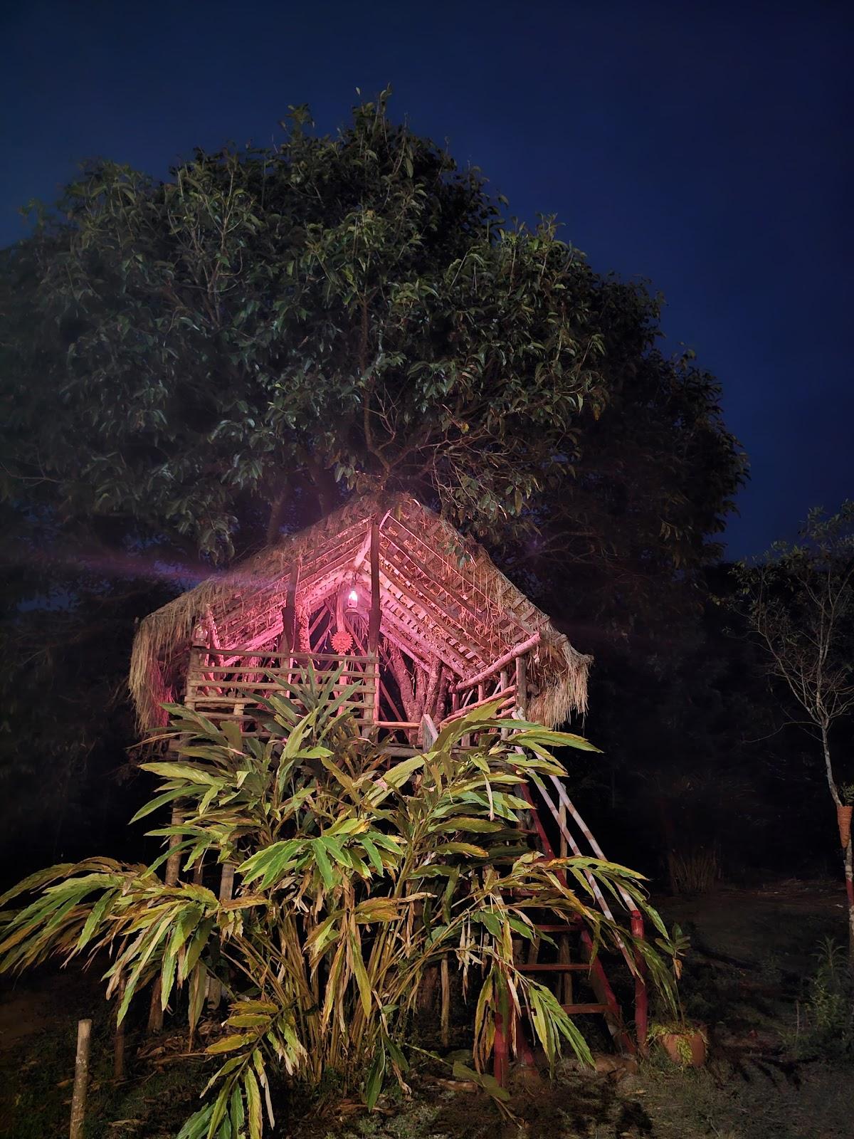 Coorg Coffee Park Farmstay, A private villa stay – photo 3