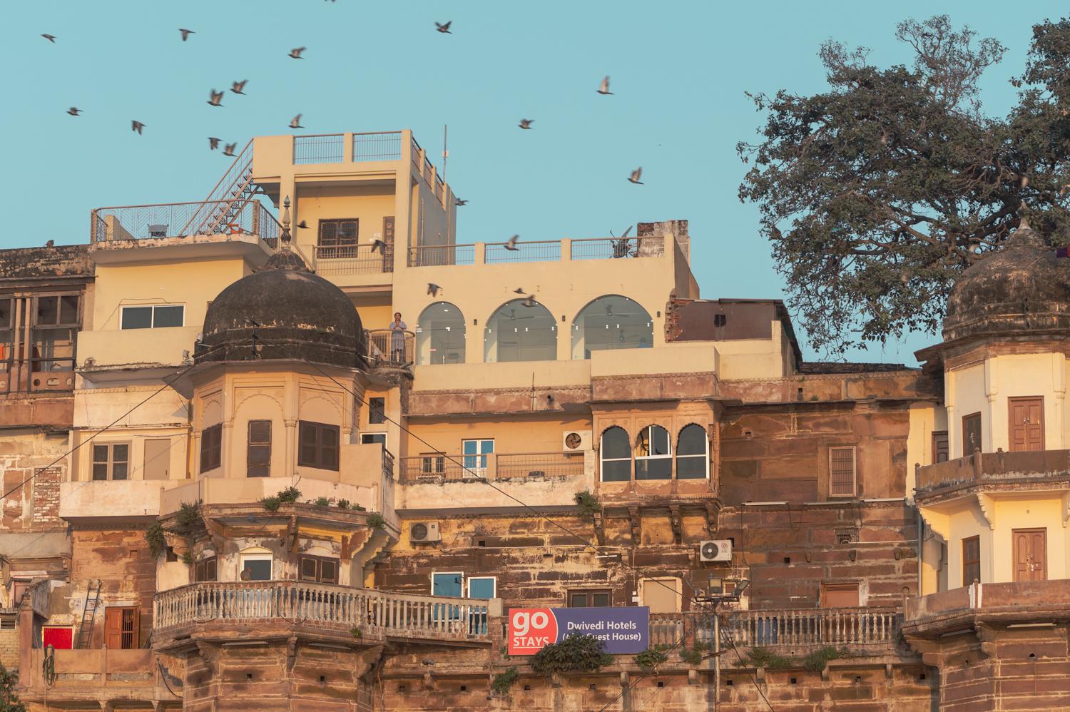 Dwivedi Hotels Palace On Steps – photo 1