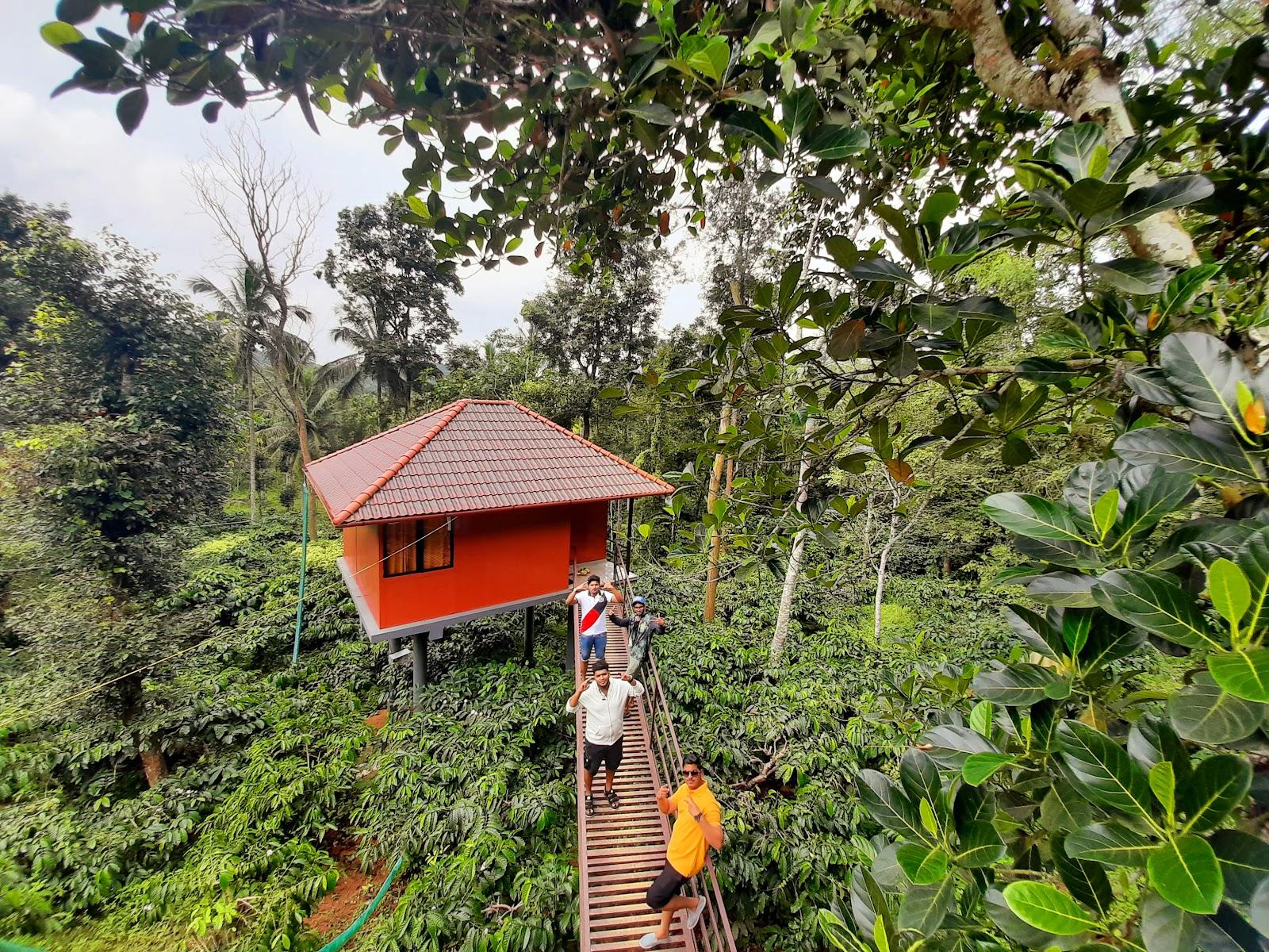 VMJ Wild Stay/Hut stay in wayanad/Home stay in wayanad – photo 1