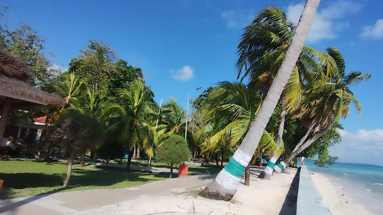 Dolphin beach resort – photo 2