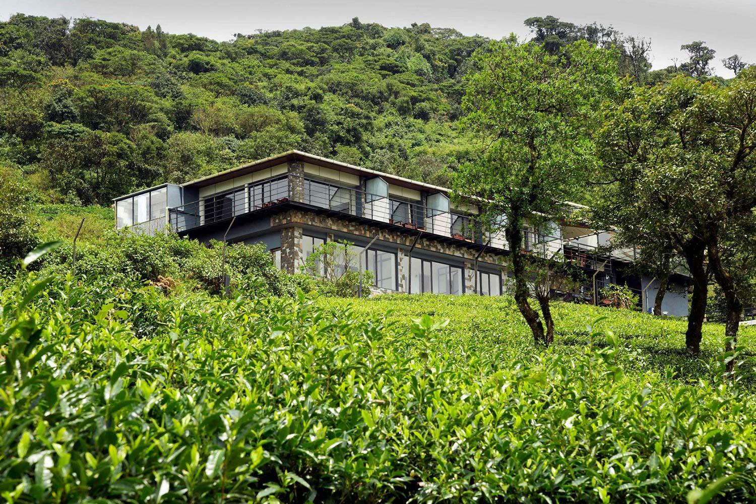 Ibex Resorts, Valparai (Tale Rock) – photo 4