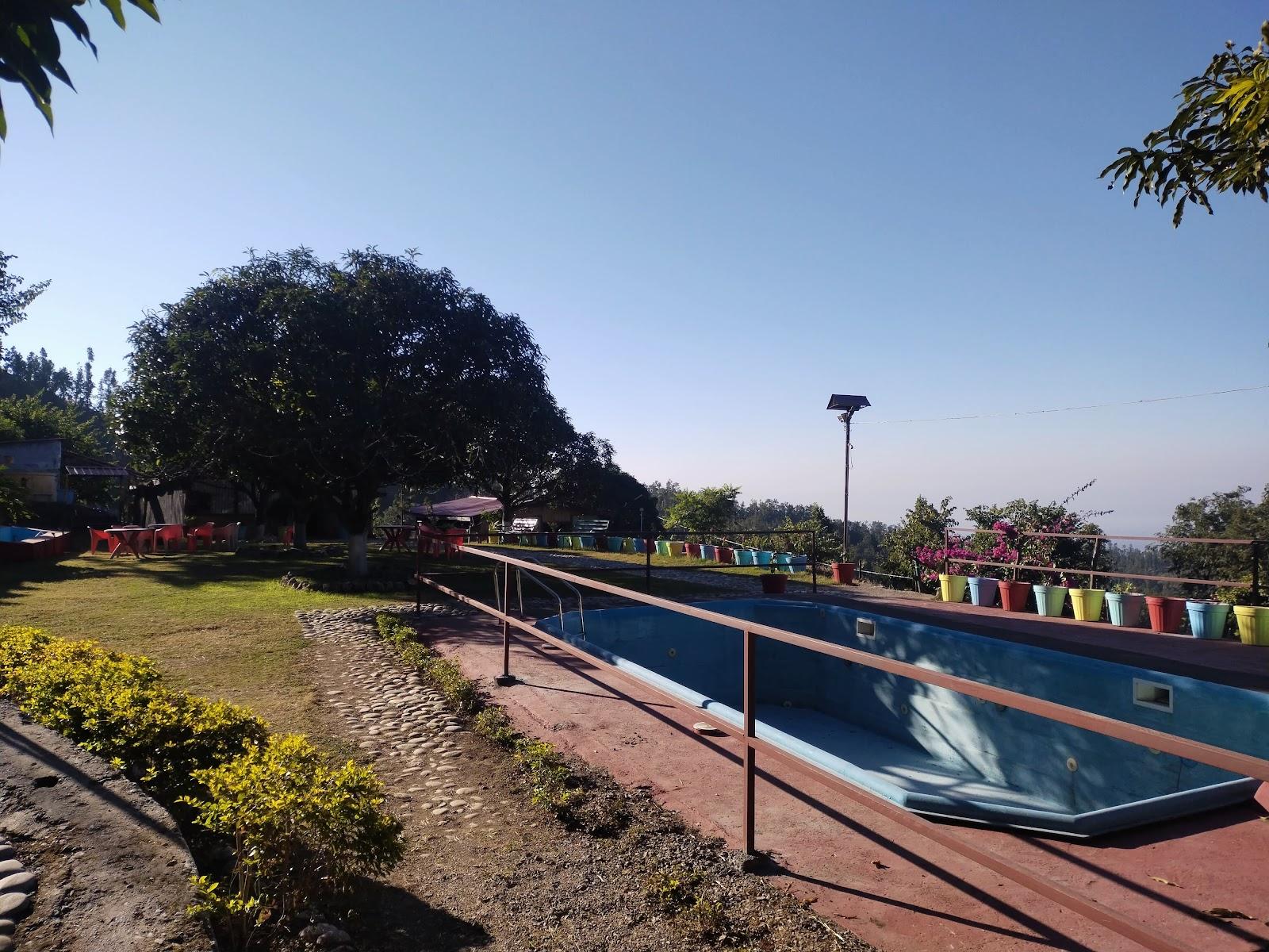 forest bliss resort – photo 4