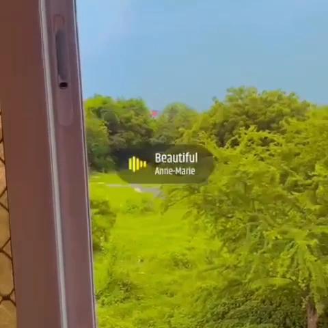 Hotel Paradise Inn Udaipur – photo 2