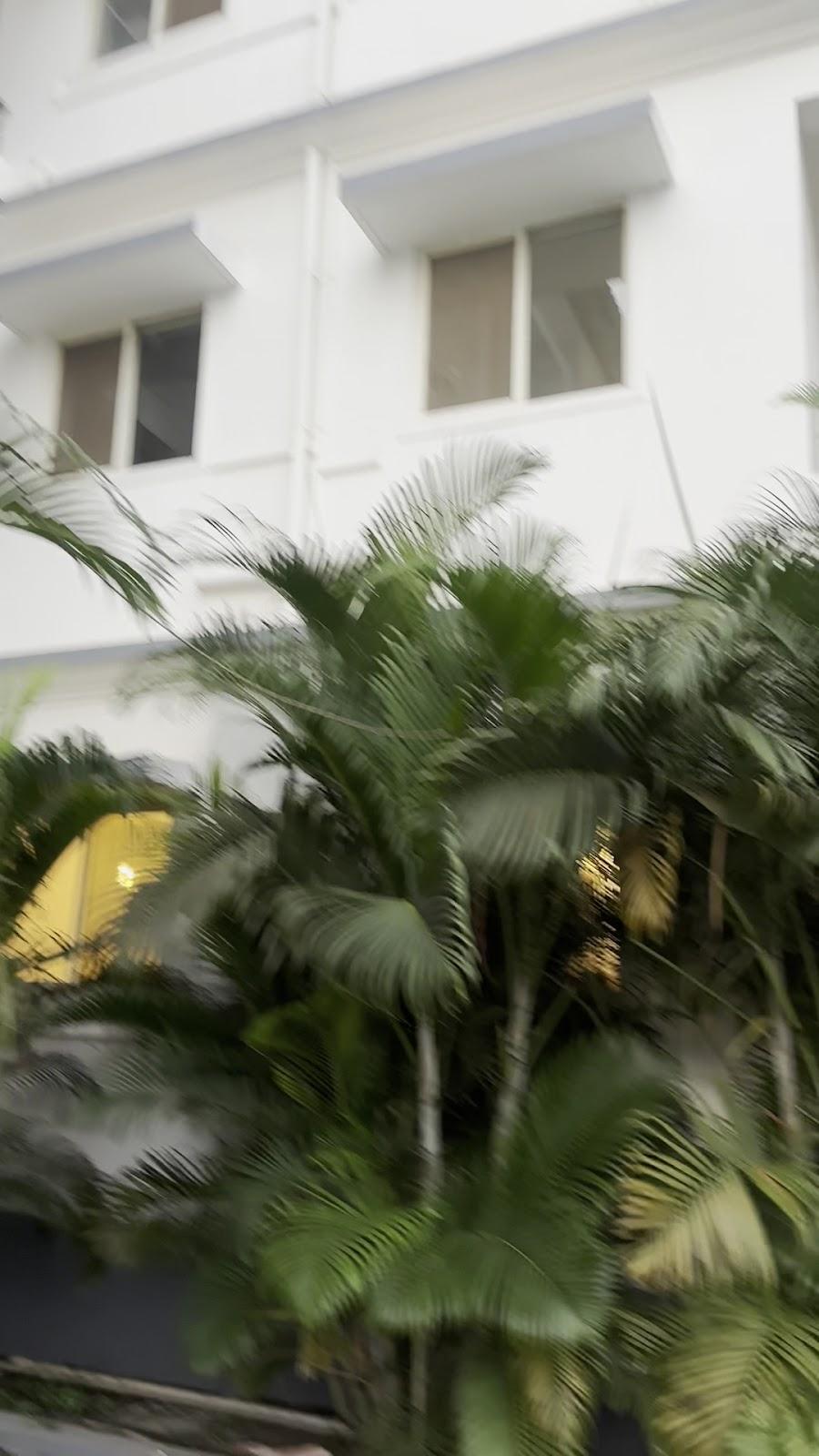 DACHA ARAMBOL – photo 2