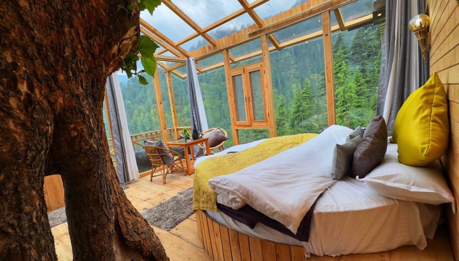 Cloud Walk Treehouse (Jibhi | Tandi) – photo 3