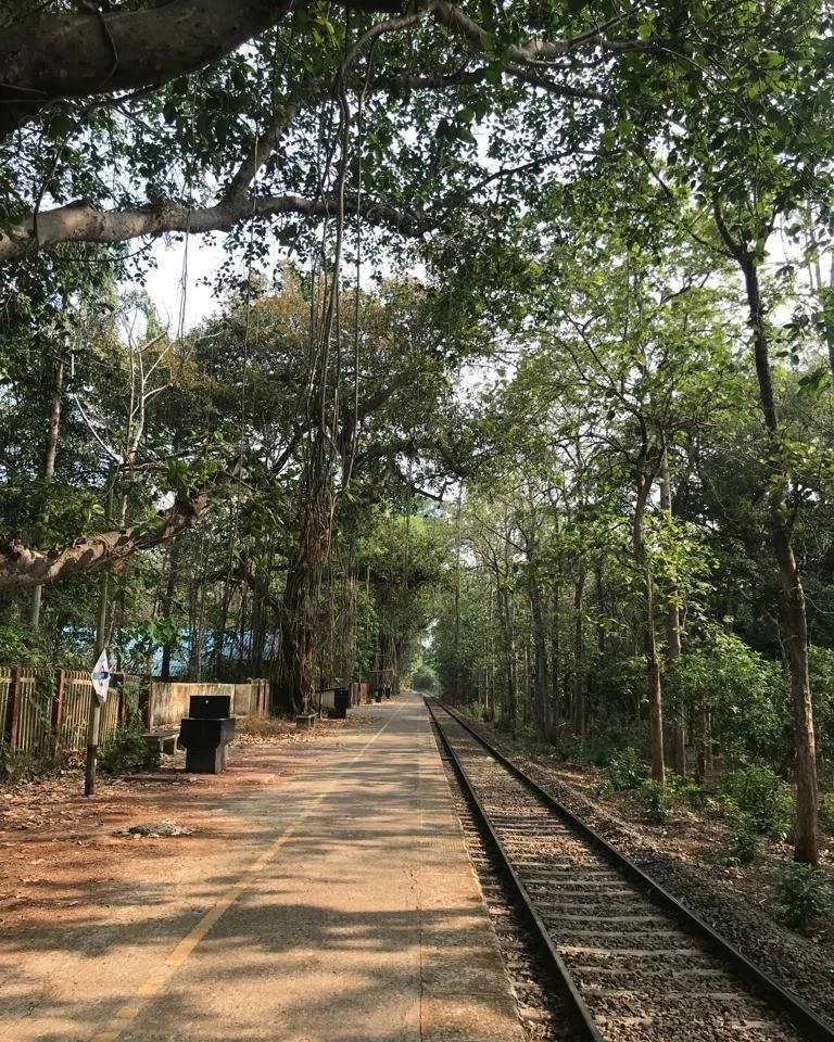 Nilambur Tourist Home – photo 3