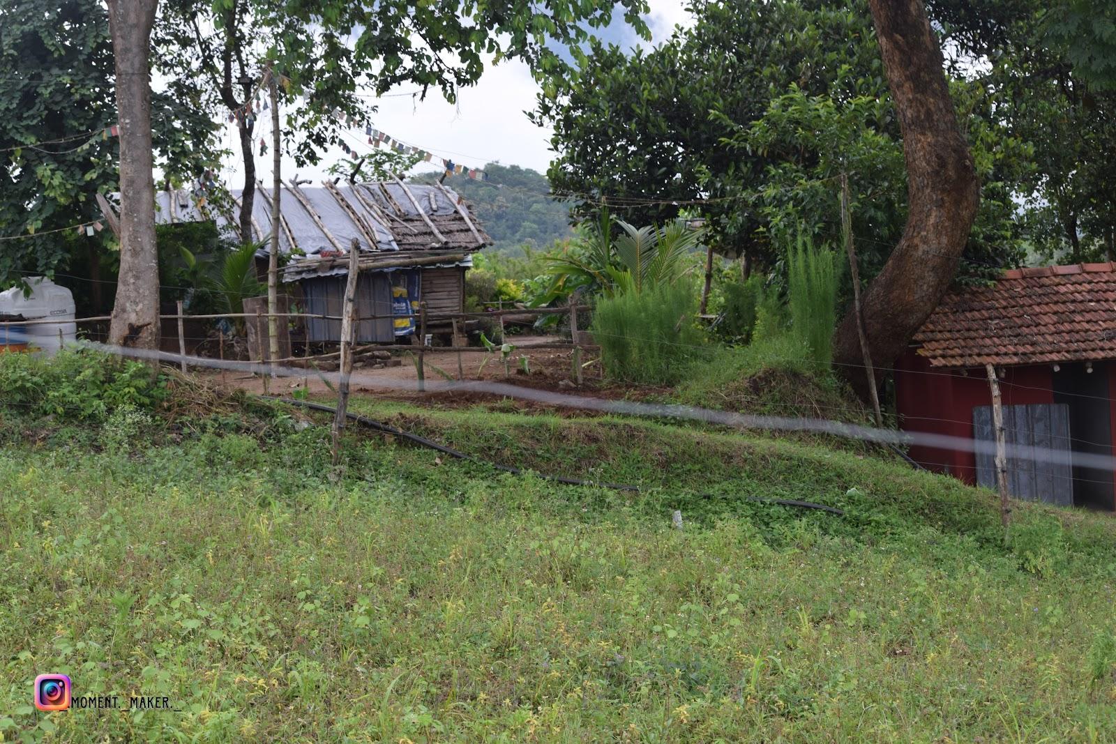 Attappadi Hilltop stay – photo 2