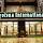 Jyotsna International – photo 2