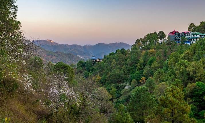 The Hosteller Kasauli – photo 4