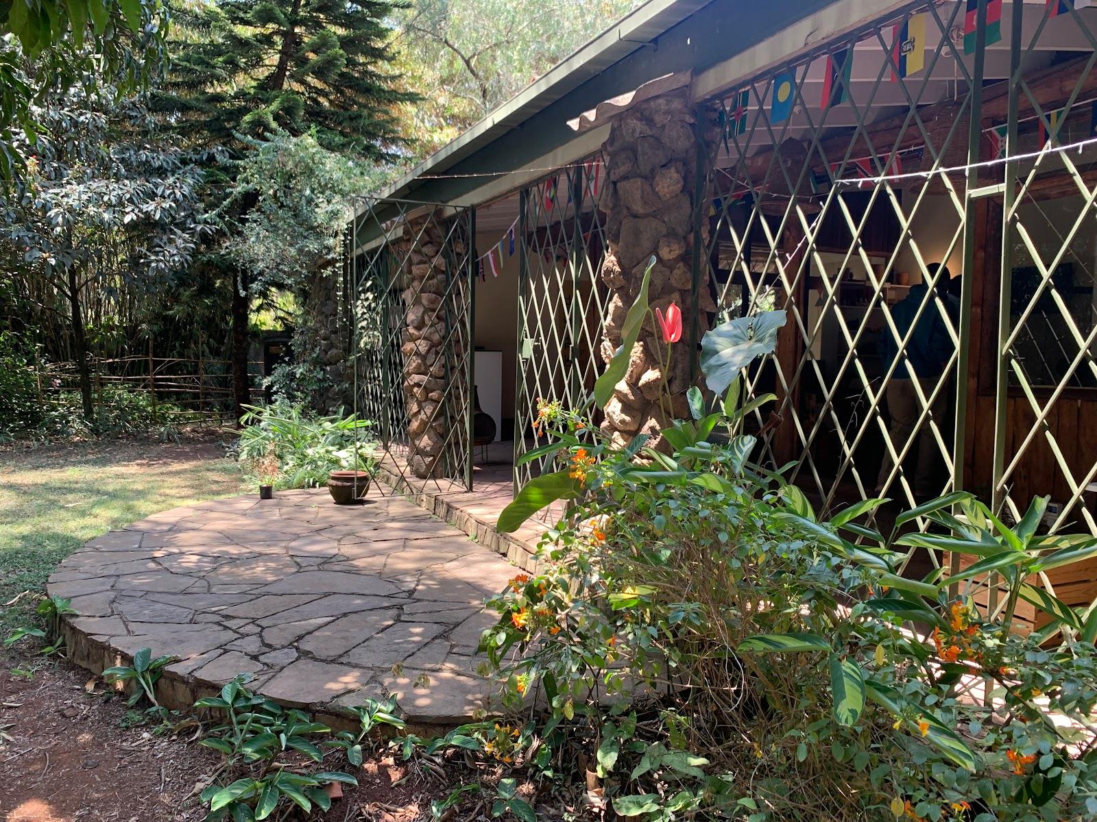 Mad Vervet Nairobi backpackers Hostel