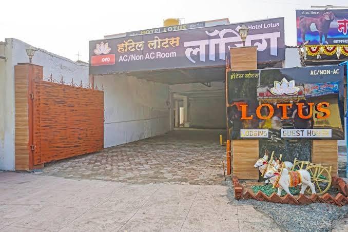 Lotus Lodge and Guest House – photo 1
