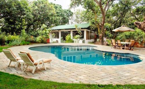 Holiday Highlights by DVM INDIA – photo 4