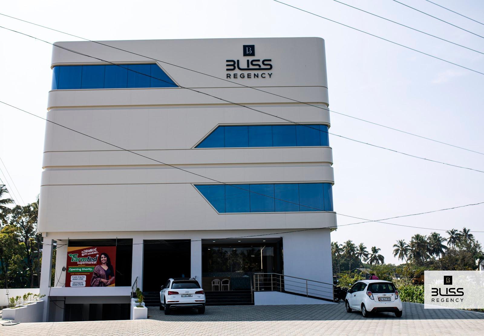 Bliss Regency – photo 1
