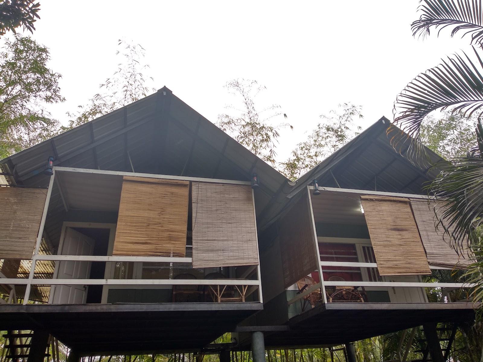 Wayanad Hotels & Resorts – photo 2