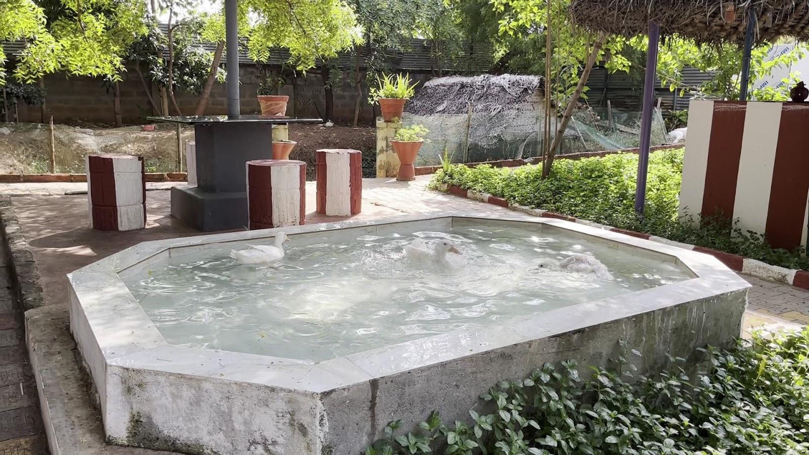 Chola Heritage – photo 4
