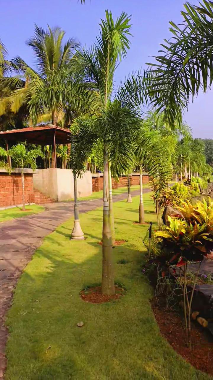 Cottages, Eden Farms, Goa, amã Stays & Trails – photo 2