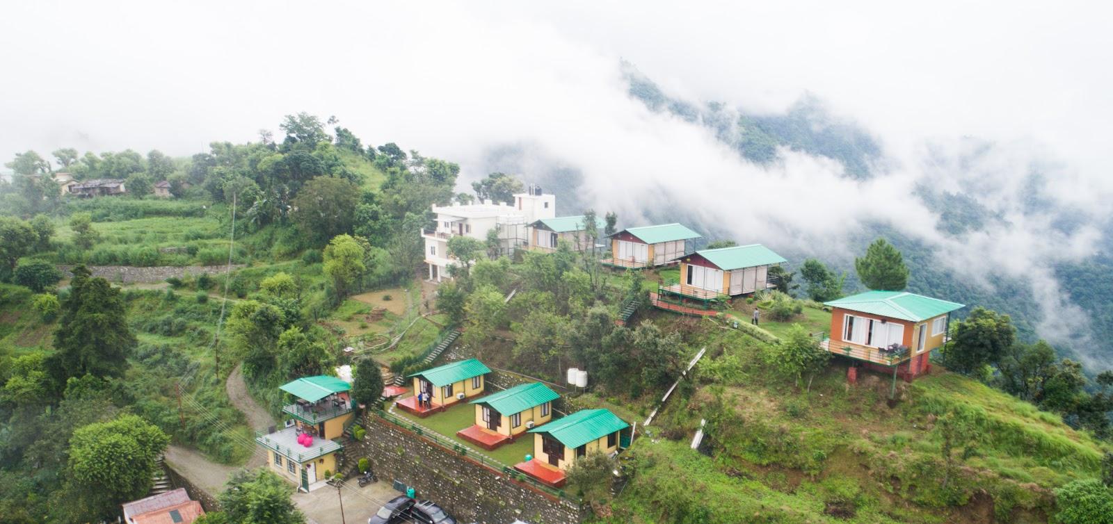 Nest and Hives Naukuchiatal