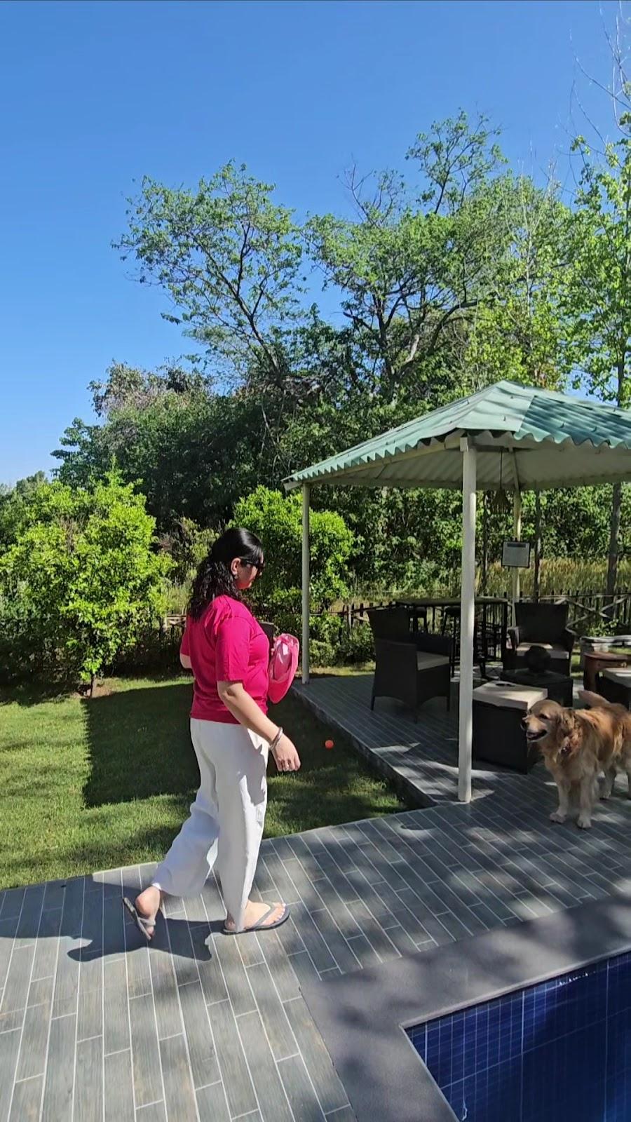 Raunaq, a boutique Farmstay, Hoshiarpur – photo 2