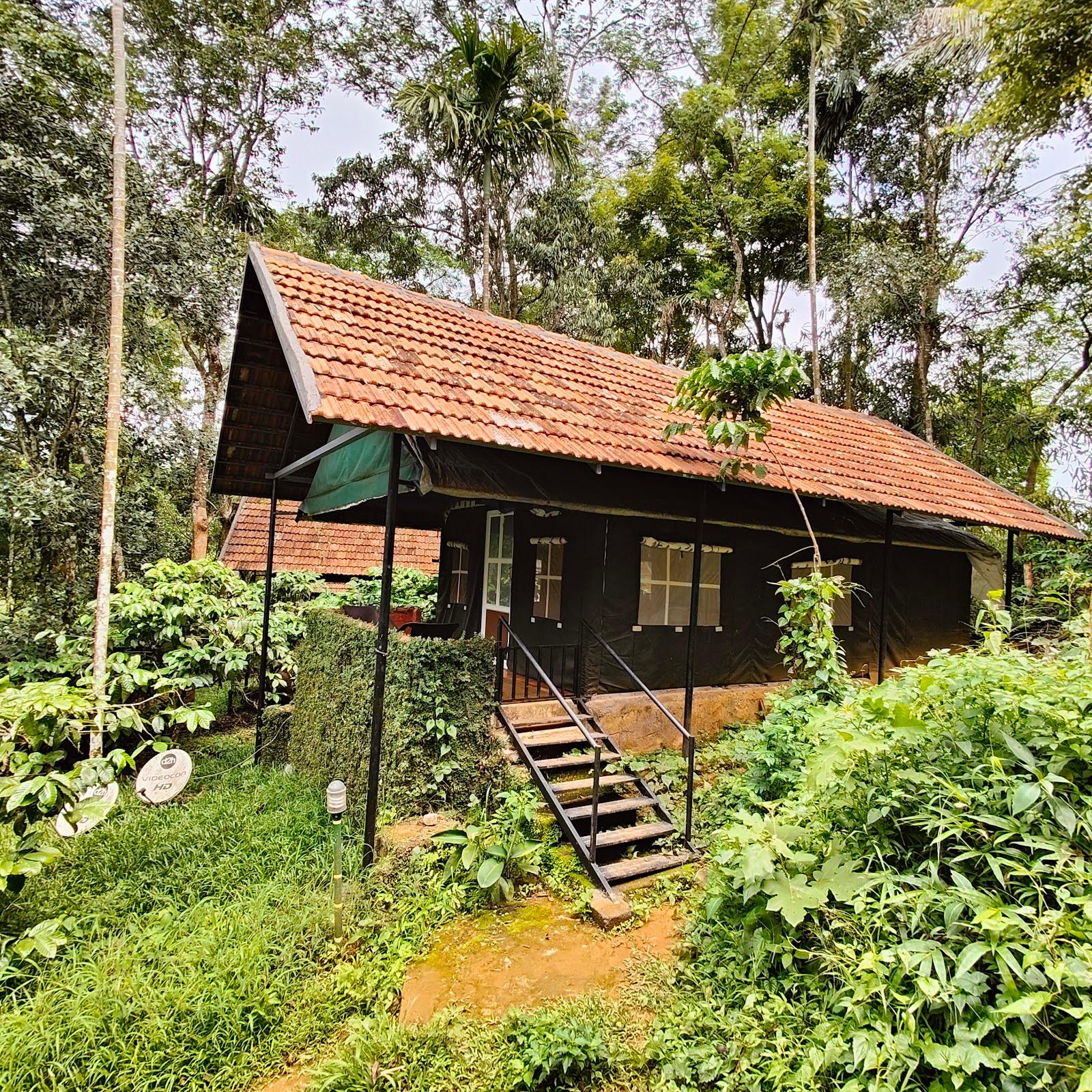 Grassroots Wayanad, Valley-view Tents.