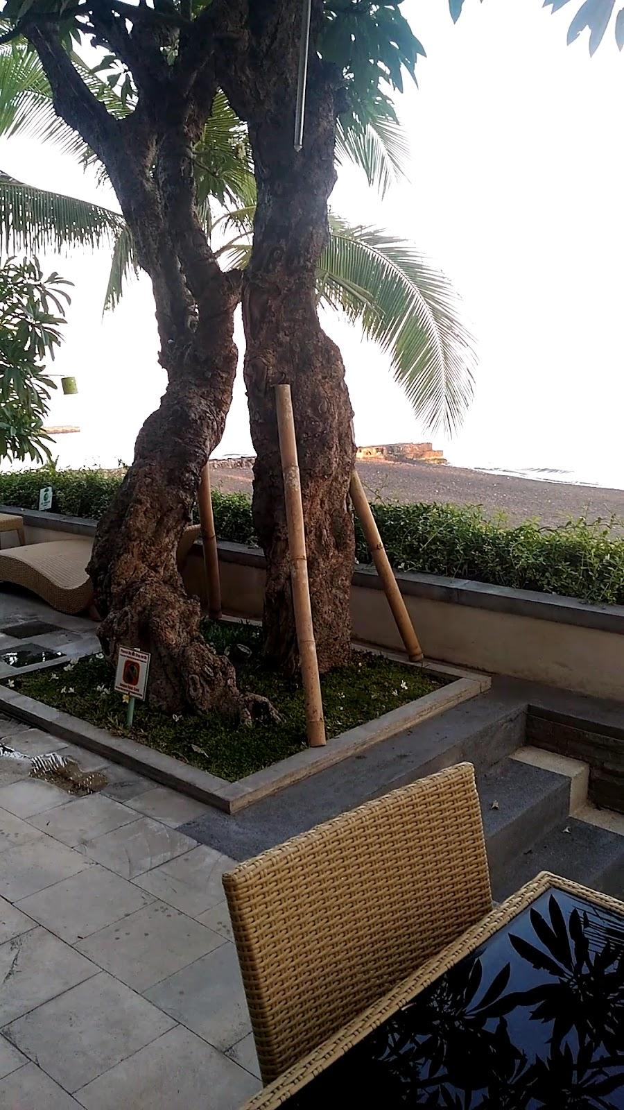 Singaraja Beach Hotel – photo 2