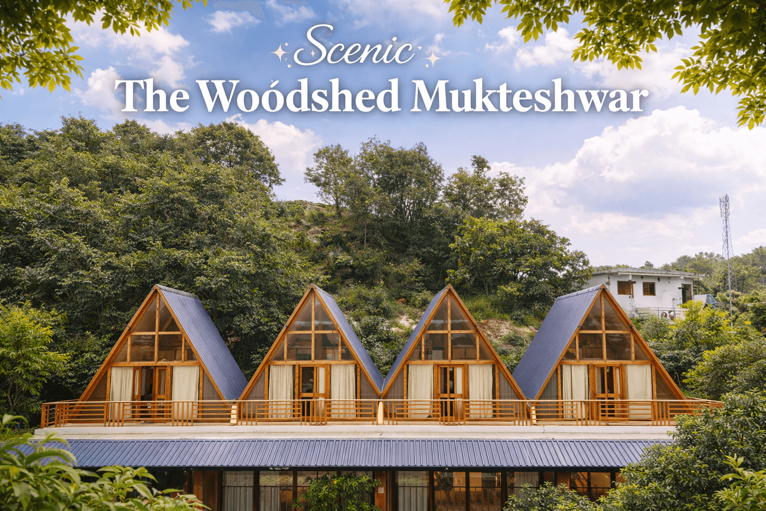 The Woodshed