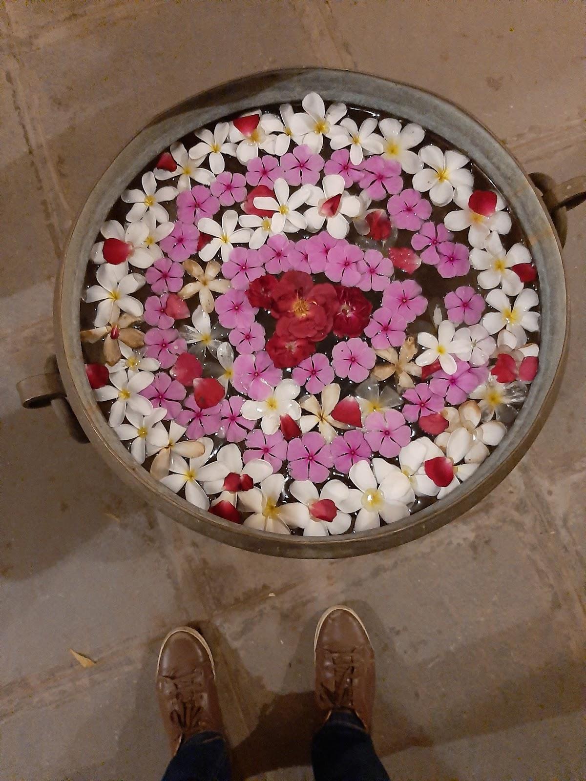 Champaner Heritage Resort – photo 4