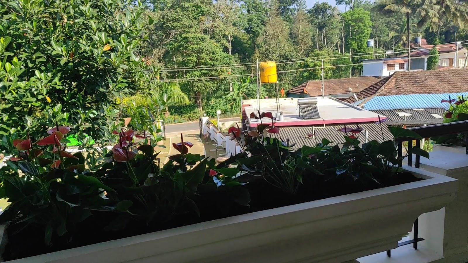 The Cana's, Coorg – photo 2