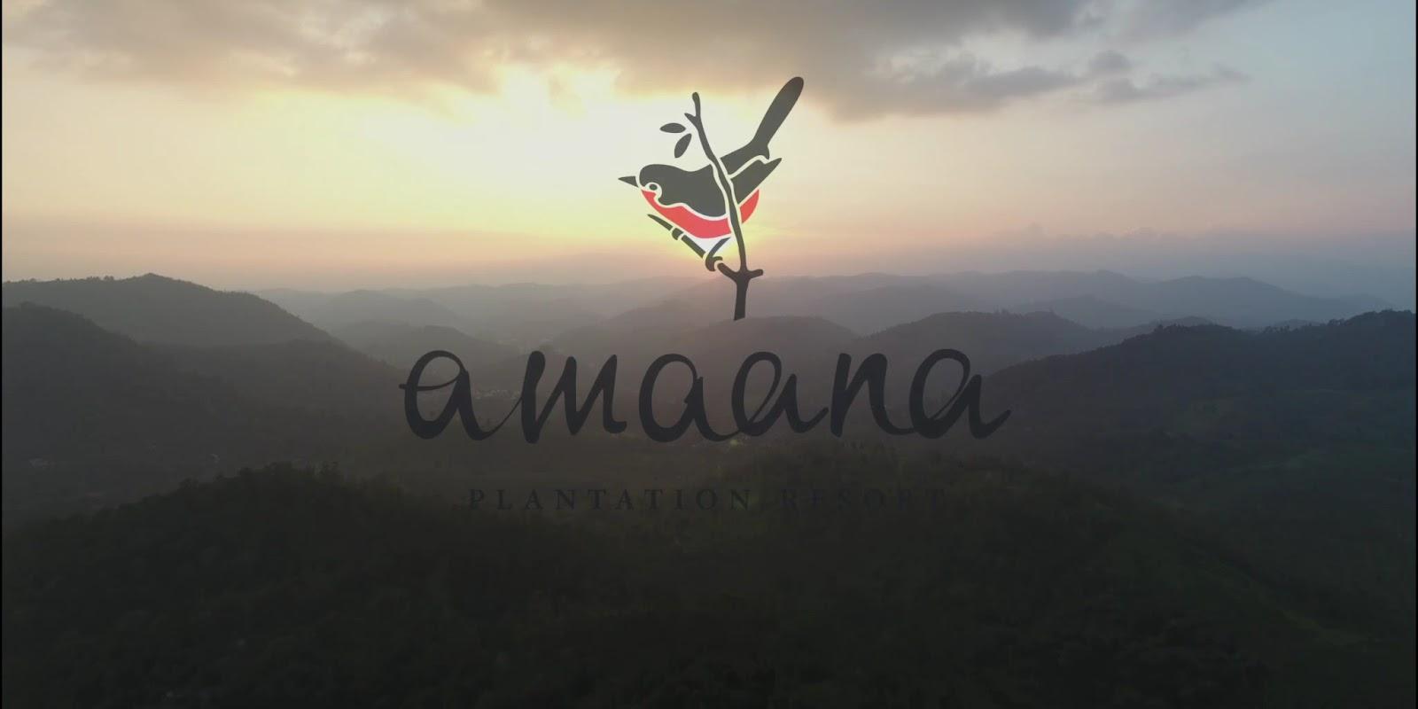 Amaana Plantation Resort – photo 2