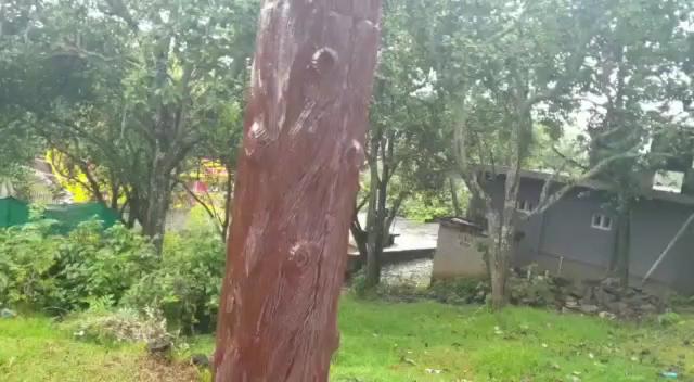 KODAI SAKTHI GUEST HOUSE - KODAIKANAL – photo 2