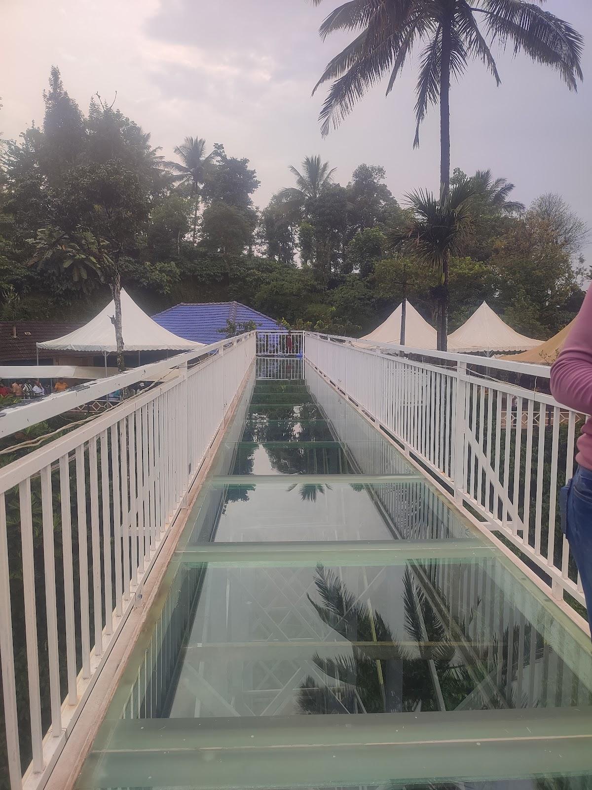 Madikeri Misty Homestay – photo 1
