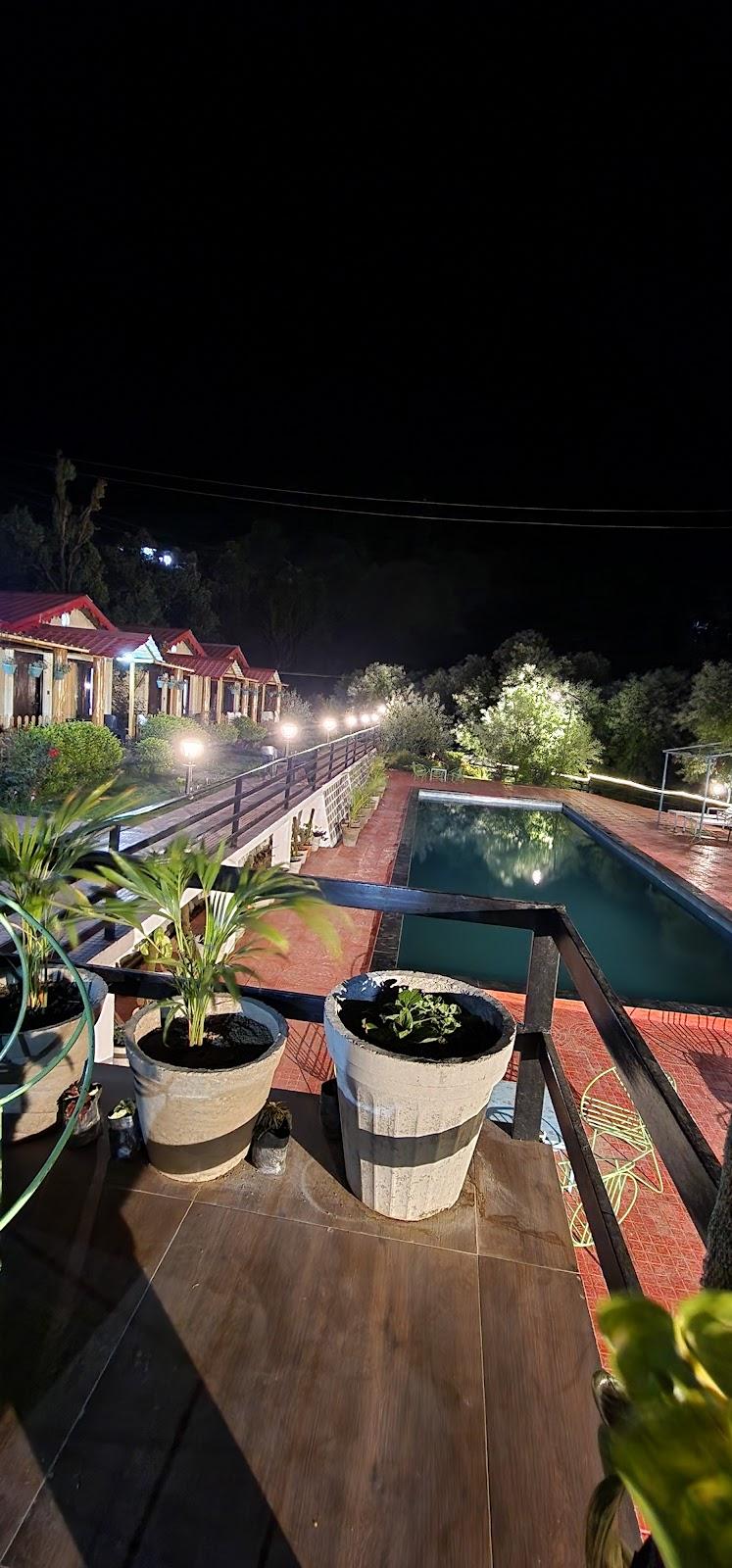 Jungle pool – photo 3
