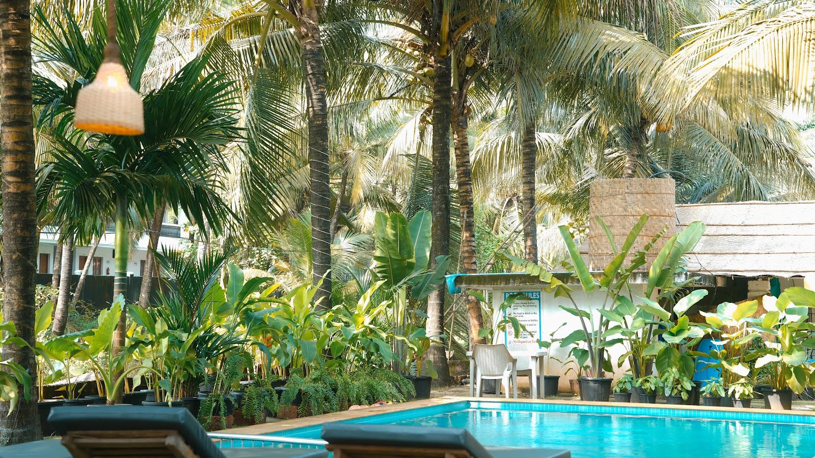 The North 39, Mandrem Goa. – photo 1