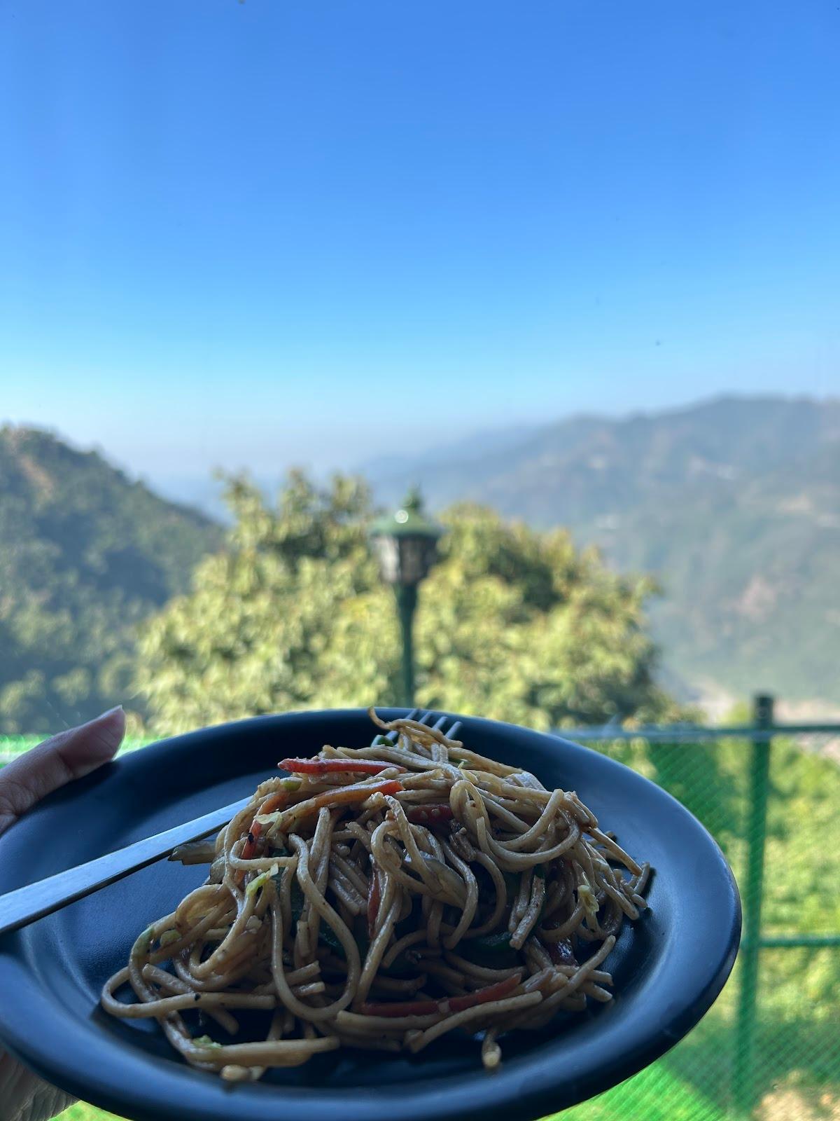 Morni Hills Retreat & Heaven – photo 2